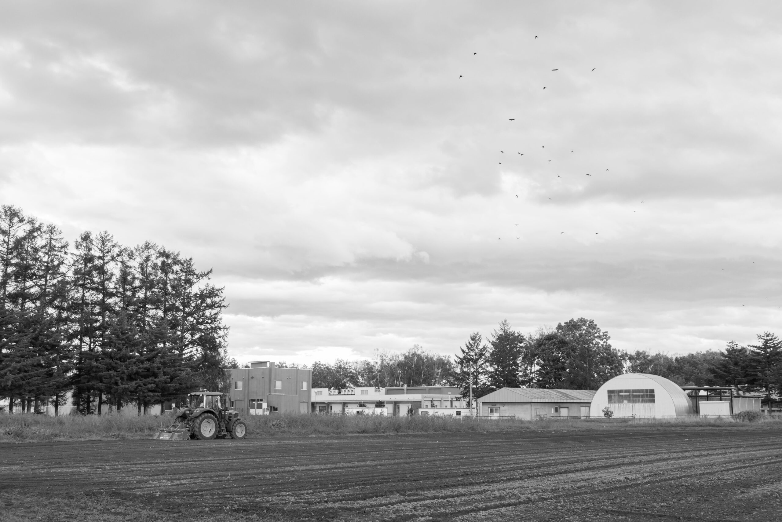 farm landscape